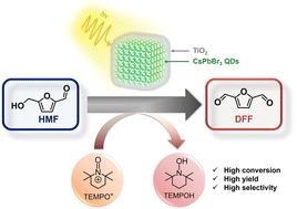 Interface-engineered CsPbBr3–TiO2 nanocomposites for efficient and selective photocatalytic conversion of HMF to DFF