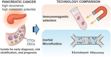 Benchmarking microfluidic and immunomagnetic platforms for isolating circulating tumor cells in pancreatic cancer