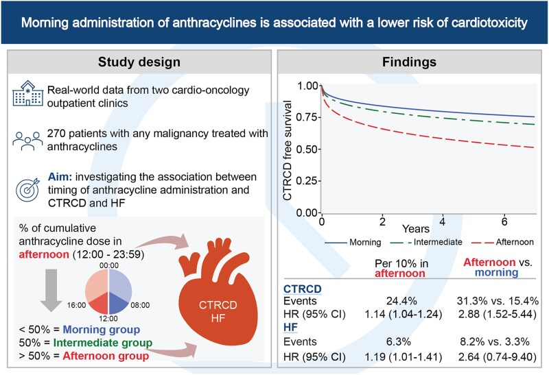 Morning administration of anthracyclines is associated with a lower risk of cancer therapy-related cardiac dysfunction.