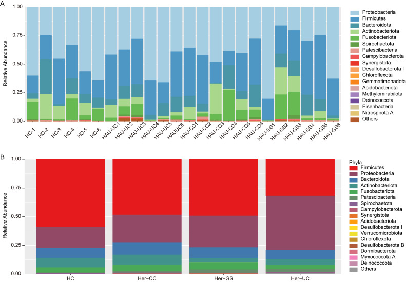 Analysis of Oral Microbiota in Herpetiform Aphthous Ulcers Patients.