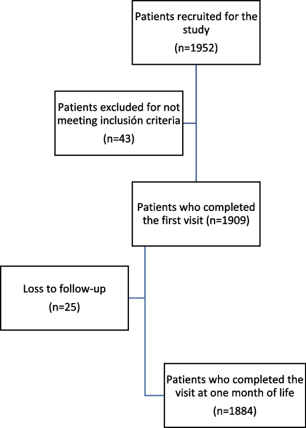 First primary care visit of the newborn and its implications for breastfeeding.