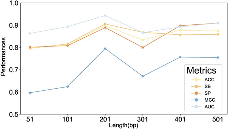 MCAMEF-BERT: an efficient deep learning method for RNA N7-methylguanosine site prediction via multi-branch feature integration.