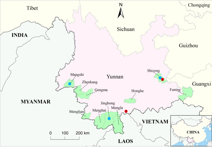 Isolation of four serotypes of epizootic hemorrhagic disease virus from <i>Culicoides</i> spp. and their associated infections in cattle in Yunnan, China.