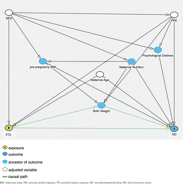 Association of prenatal tobacco exposure and child neurodevelopment: Analysis of the ECHO cohort study.