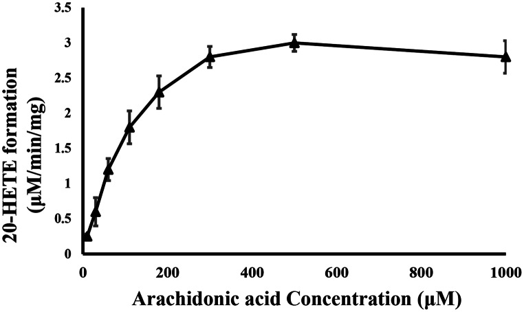 Simvastatin inhibits 20-Hydroxyeicosatetraenoic acid formation: docking and in vitro assay.