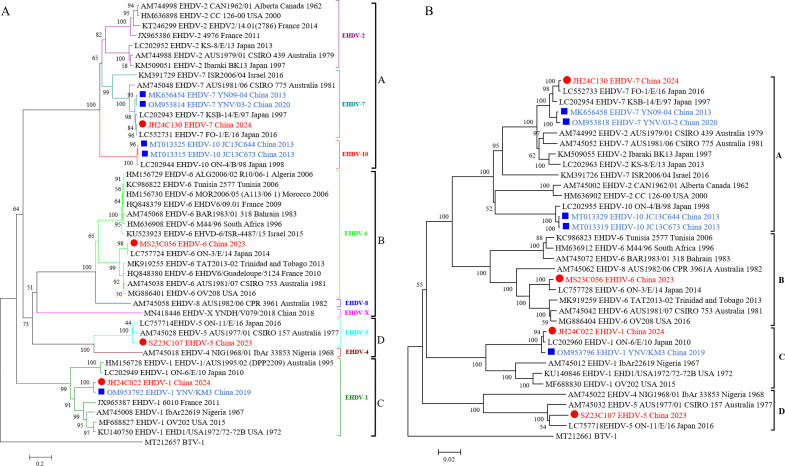 Isolation of four serotypes of epizootic hemorrhagic disease virus from <i>Culicoides</i> spp. and their associated infections in cattle in Yunnan, China.