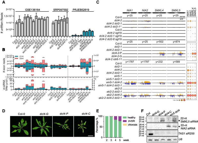 The action of Arabidopsis DICER-LIKE 2 in plant growth inhibition.
