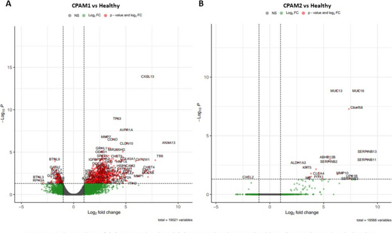 Atypical mesenchyme in congenital pulmonary airways malformation: a promising new focus.