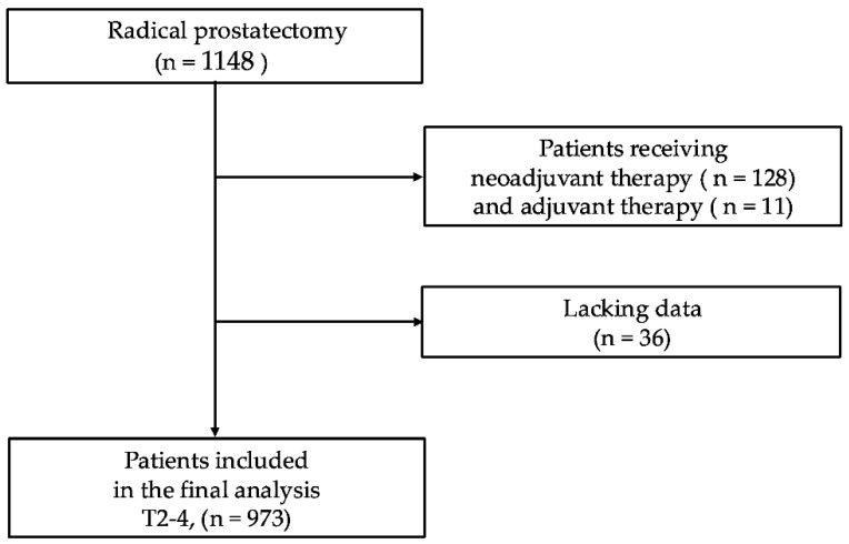 Impact of Surgical Margin Control in Index Tumors on Prognosis After Radical Prostatectomy: A Focus on Zonal Origin.