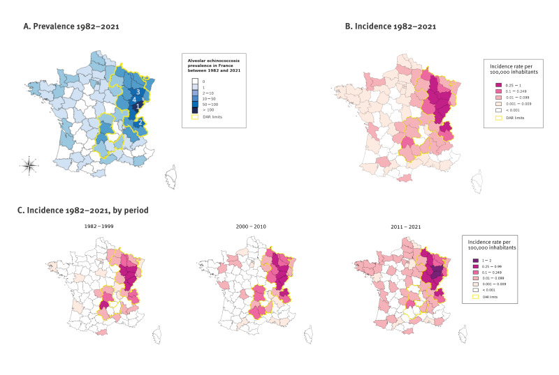 Epidemiological and clinical characteristics of patients in the alveolar echinococcosis registry, France, 1982 to 2021.