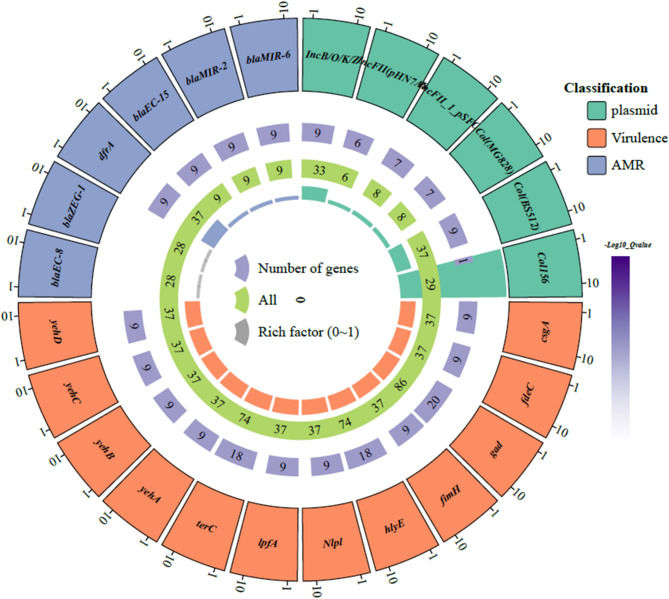 Phenotypic and genotypic relationships between Shigella species and Escherichia coli O37:H10 isolates in Addis Ababa, Ethiopia.