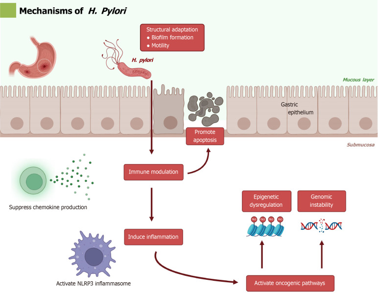 Gastrointestinal microbiota in treatment of gastric precancerous lesions and gastric cancer by Western and traditional Chinese medicine.