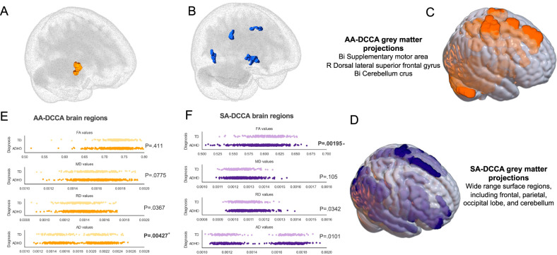 Deep adversarial learning identifies ADHD-specific associations between apoptotic genes and white matter microstructure in frontal-striatum-cerebellum circuit.