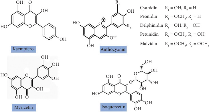 Therapeutic Potentials of Jamun (<i>Syzygium cumini</i>) and Its Integration Into Modern Food Technologies: A Review.