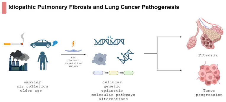 Concomitant Idiopathic Pulmonary Fibrosis and Lung Cancer: An Updated Narrative Review.
