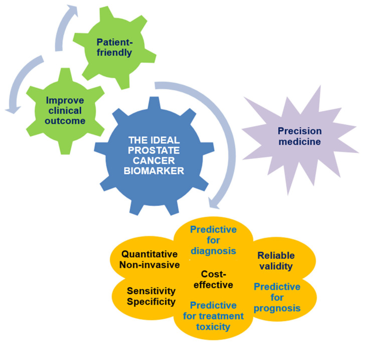 The Evolving Landscape of Novel and Old Biomarkers in Localized High-Risk Prostate Cancer: State of the Art, Clinical Utility, and Limitations Toward Precision Oncology.