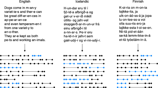 Subword symmetry in natural languages.