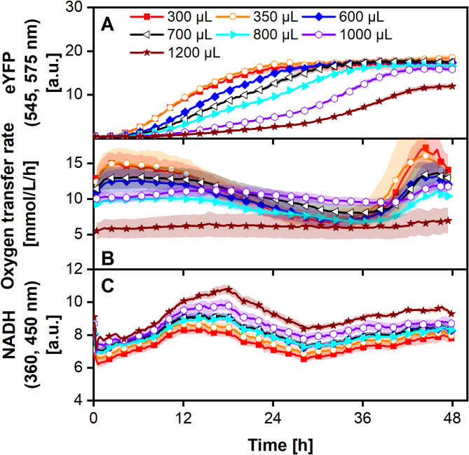 Online monitoring of the mitochondrial respiration activity and protein formation in the Almost Living Cell-free Expression (ALiCE) system.