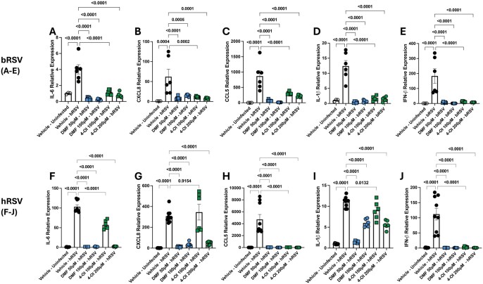NRF2 agonists 4-octyl-itaconate and dimethyl fumarate reduce human and bovine RSV proliferation and RSV disease in a murine model.