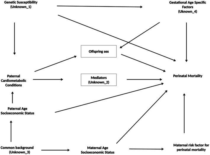 Paternal Cardiometabolic Conditions and Perinatal Mortality.