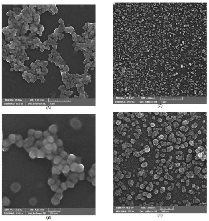 An in Vitro Study on Anticancer Efficacy of Capecitabine- and Vorinostat-incorporated Self-nanoemulsions.