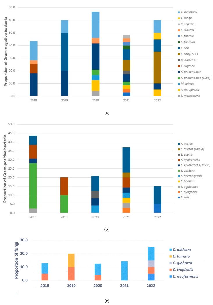 Prevalence and Factors Associated with Infections After Acute Ischemic Stroke: A Single-Center Retrospective Study over Five Years.