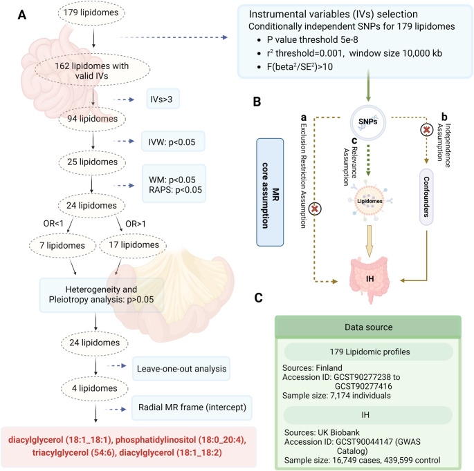 Genome-wide lipidomic profiling reveals causal lipid species as targets for inguinal hernia risk.