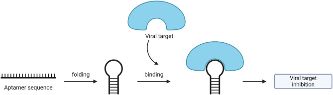 Aptamer as a therapeutic agent for dengue infections.