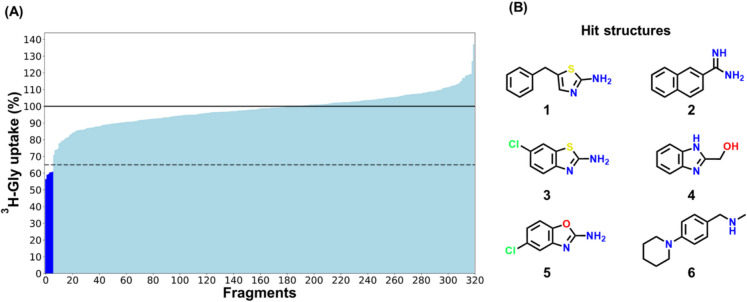 Fragment-Based Screening Identifies Novel Non-Amino Acid Inhibitors of the Sodium-Coupled Neutral Amino Acid Transporter SNAT2.