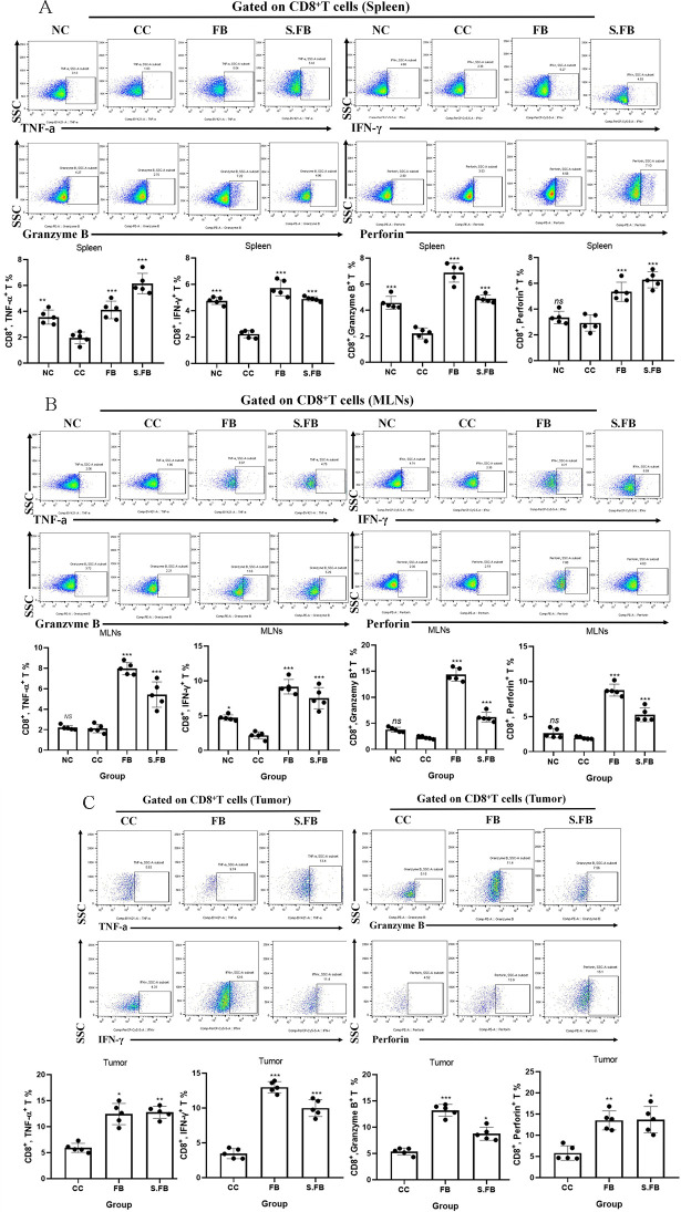 Gut-derived <i>Faecalibaculum rodentium</i> exerts anti-cancer effects on colorectal cancer by modulating PDPN-CLEC-2 signaling pathway.