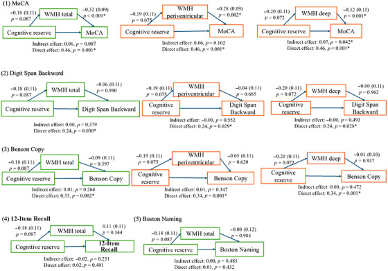 The role of cognitive reserve in white matter hyperintensities: from cognitive aging to Alzheimer's spectrum.