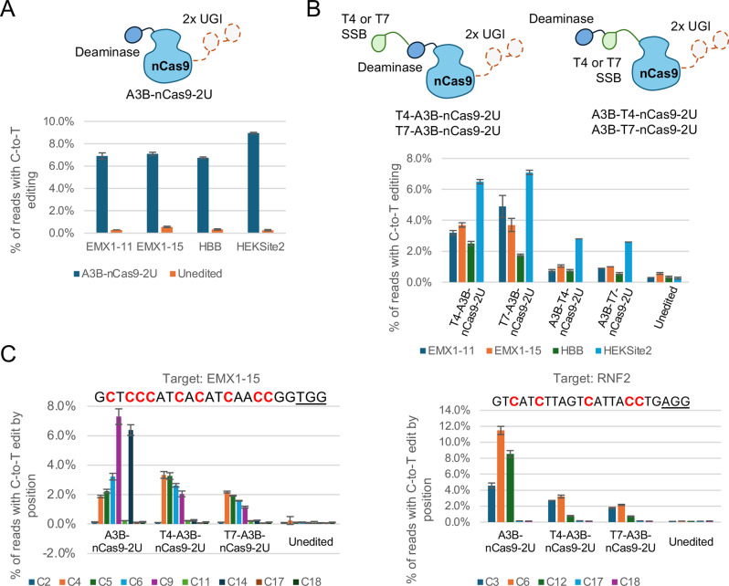 Cytosine base editor-DNA binding domain fusions for editing window modulation in the RNP format.