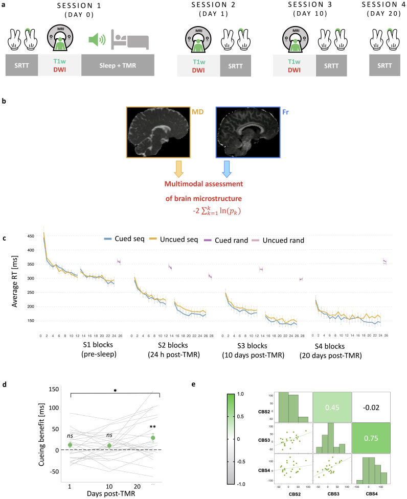 Distributed and gradual microstructure changes are associated with the emergence of behavioural benefit from memory reactivation.