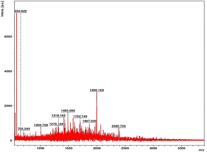 Novel thrombolytic protease from the rare halophile Brachybacterium paraconglomeratum: bioprocessing and in vitro application.
