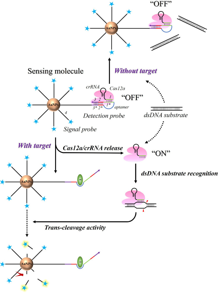 Simple and Sensitive <i>Escherichia coli</i> Analysis <i>via</i> Allosteric Probe Controllable Switch Cas12a/crRNA Complex Mediated Strategy.