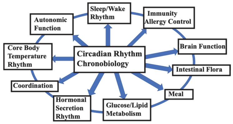 Appropriate Lifelong Circadian Rhythms Are Established During Infancy: A Narrative Review.