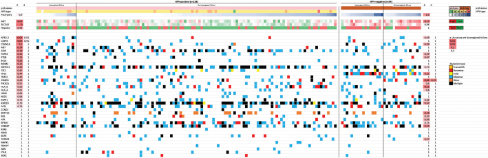 Mutational profile of oropharyngeal squamous cell carcinoma in relation to HPV, tobacco smoking and prognosis with validation in the DAHANCA 19 randomized trial.