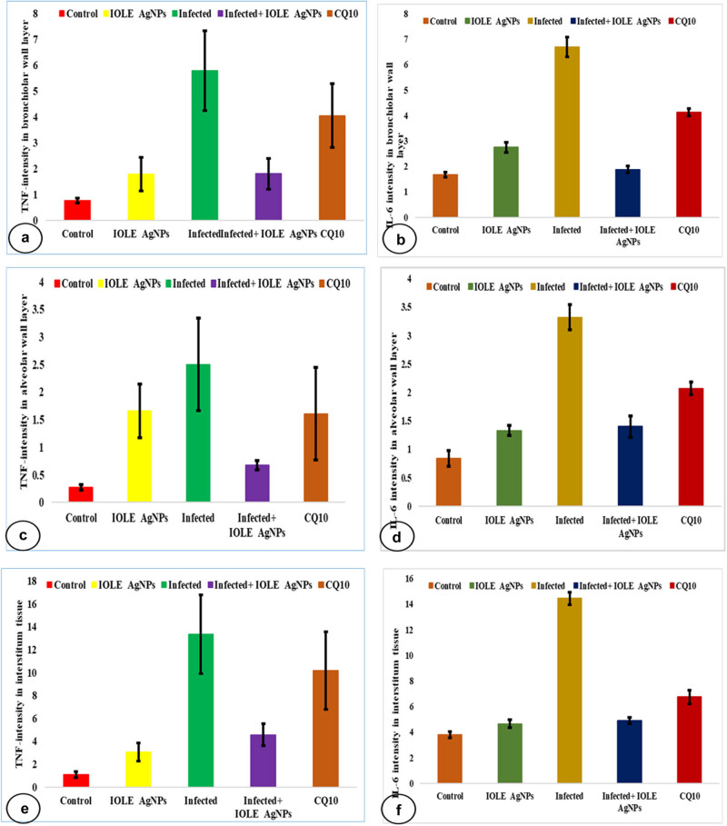 Morphometric analysis and immunobiological investigation of <i>Indigofera oblongifolia</i> on the infected lung with <i>Plasmodium chabaudi</i>.
