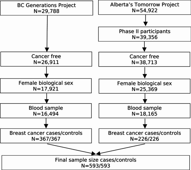 Pre-diagnostic serum metabolome and breast cancer risk: a nested case-control study.