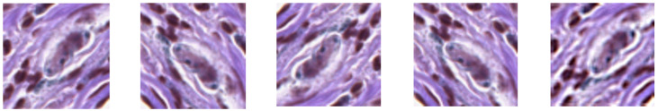 Abstract Image