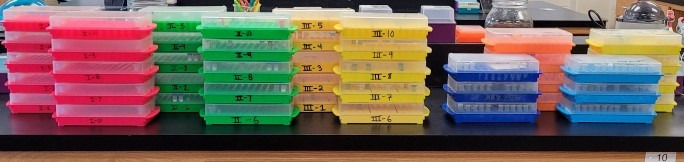 Laboratory course development and implementation fostering teaching assistant growth.