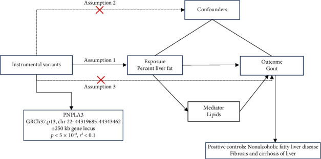 Association Between PNPLA3 Inhibition and Gout: A Drug Target Mendelian Randomization Study.