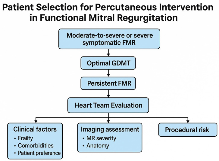 Functional Mitral Regurgitation in the Transcatheter Era: Diagnostic and Therapeutic Pathways.