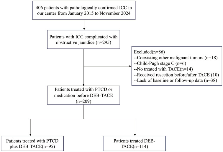 Outcome of adding percutaneous transhepatic cholangial drainage to DEB-TACE in patients with unresectable cholangiocarcinoma with obstructive jaundice: comparison with sole DEB-TACE.