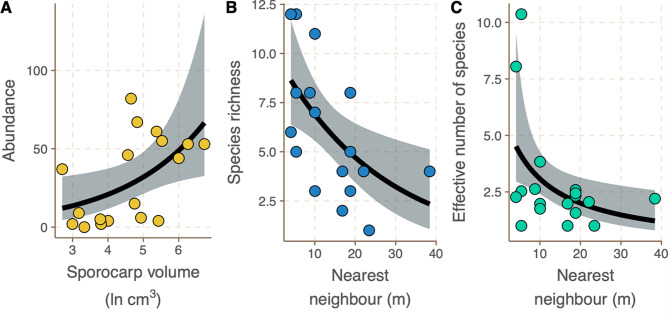 Factors determining diversity of saproxylic arthropods in the fruiting bodies of the birch polypore fungus (Fomitopsis betulina).