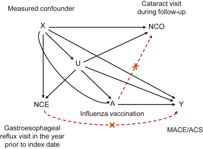 Estimating cardiovascular effects of influenza vaccination in older adults: a target trial emulation using proximal causal inference.
