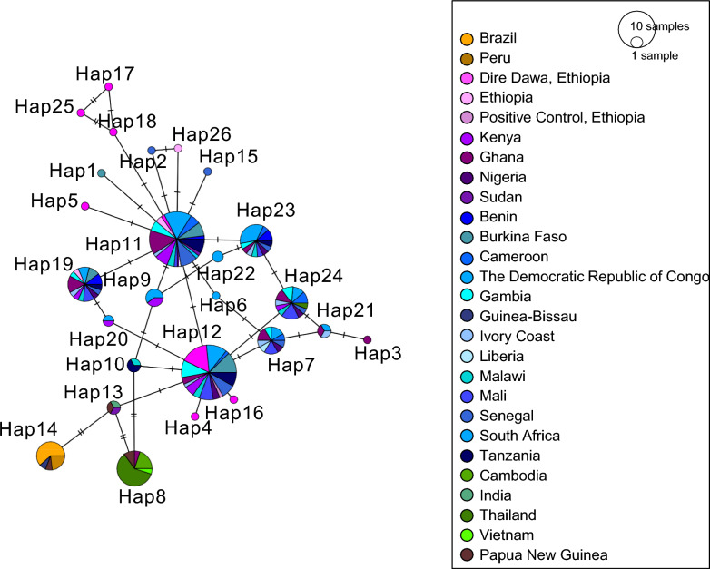 Genetic surveillance of Plasmodium-Anopheles compatibility markers during Anopheles stephensi associated malaria outbreak.