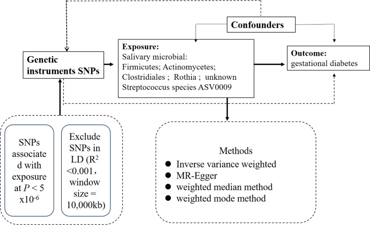Causal Associations Between Oral Microbiota and Gestational Diabetes Mellitus: A Two-Sample Mendelian Randomization Study.