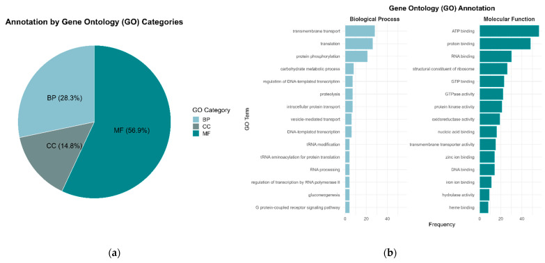 Evaluating the Assembly Strategy of a Fungal Genome from Metagenomic Data: <i>Solorina crocea</i> (Peltigerales, Ascomycota) as a Case Study.