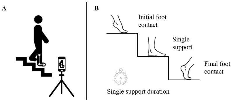 Stretching Before Resistance Training as a Strategy to Improve Stair Descent Performance in Older Women.